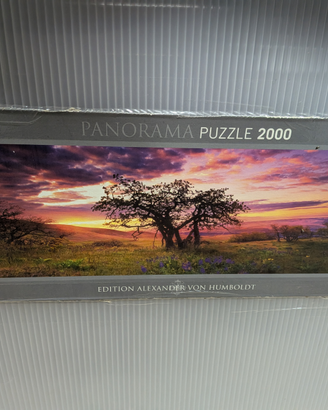 Puzzle da incorniciare