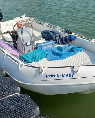 gommone rigido 450 2019