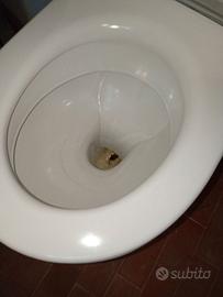 Wc con coperchio