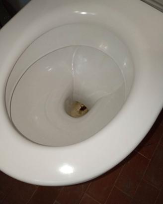 Wc con coperchio