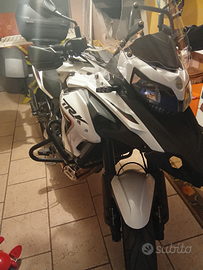 Benelli trk 502