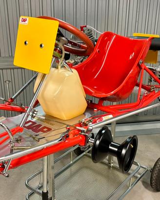 Go  Kart Dap greyhound