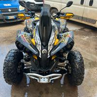 Can am 800 Renegade