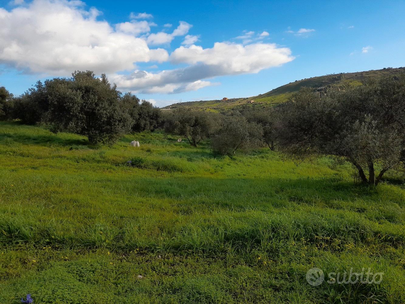 Terreno costruibile - Vista 4