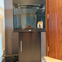 Acquario  Juwell 100 litri