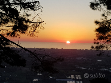 Terreno panoramico prime colline di Viareggio