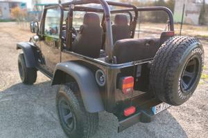 Jeep Wrangler 4.0 ASI Sport