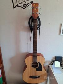 Basso acustico elettrificato IBANEZ PCBE12