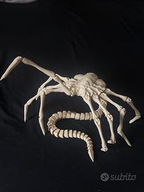 Face Hugger [Alien]