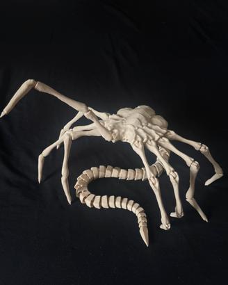 Face Hugger [Alien]