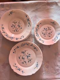 Set 24 Piatti Vintage
