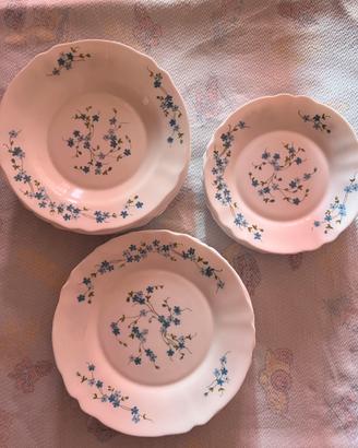 Set 24 Piatti Vintage