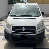Fiat scudo trasporto cani