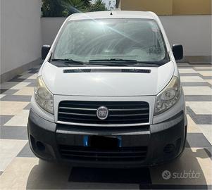 Fiat scudo trasporto cani