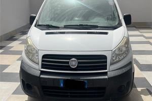 Fiat scudo trasporto cani
