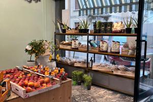 Attività alimentare