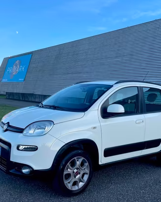 Fiat Panda Cross 1.3 MJT 95 CV S&S 4x4