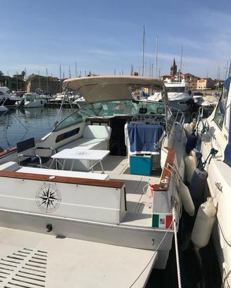 Barca a motore Sea Ray  Amberjack 27