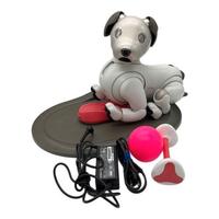 Sony  AIBO ERS-1000
