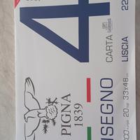 Pigna4 album disegno liscio 33x48 220gr.