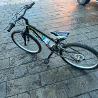 Bicicletta Bottecchia da bambino