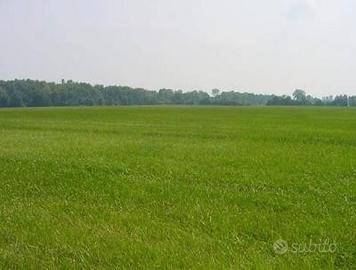 Terreno edificabile in zona centrale