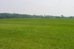 Terreno edificabile in zona centrale