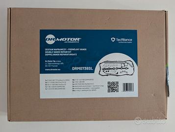 kit guarnizioni ripristino Doppio Vanos BMW M54