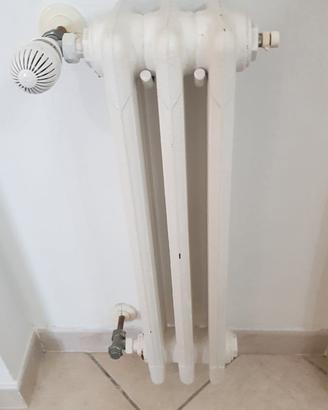 Termosifoni in ghisa.