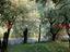 Immagine 5