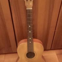 Chitarra marca Ferrarotti