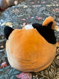 Peluche gatto