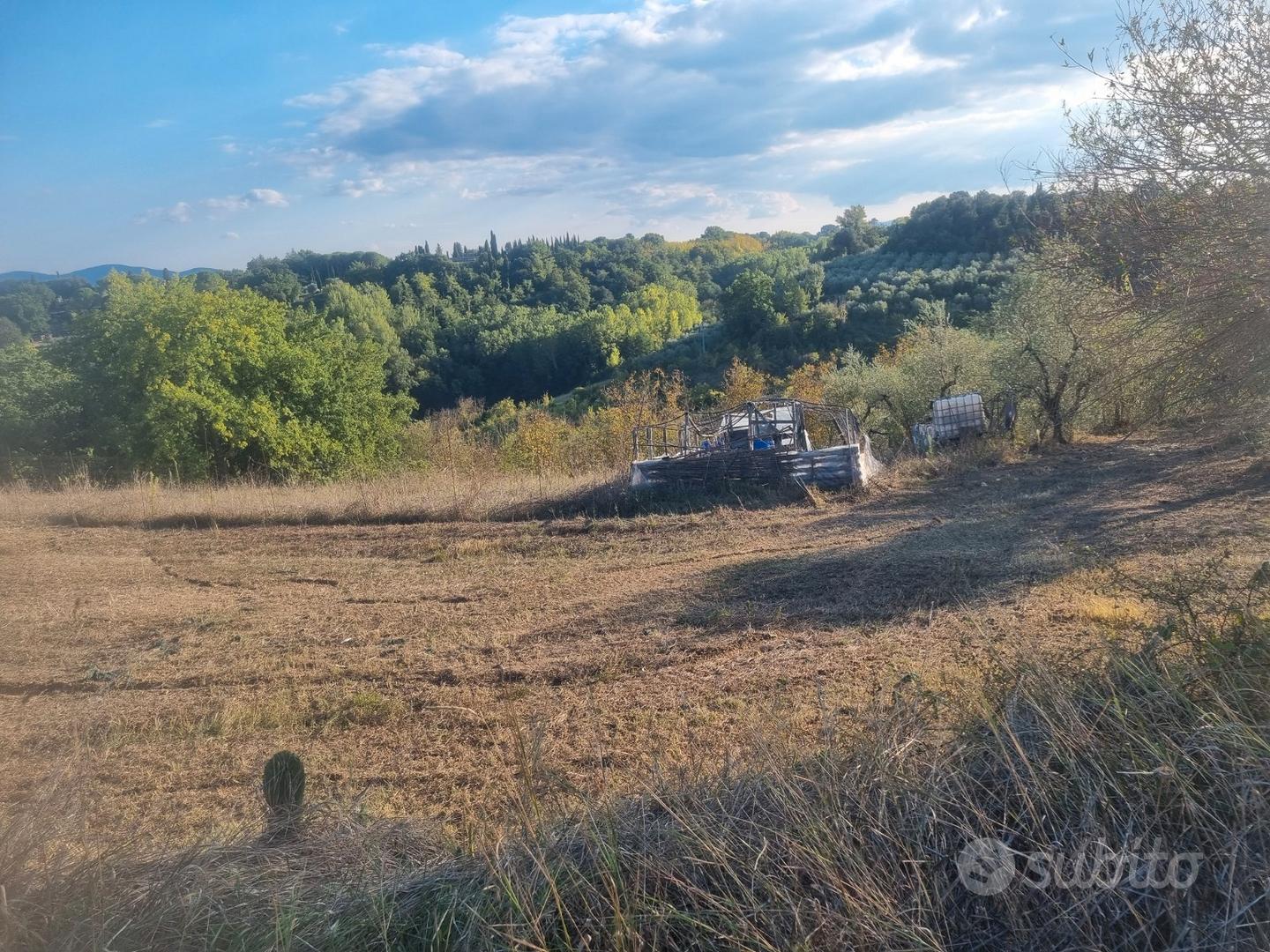 Terreno agricolo panoramico - Vista 5