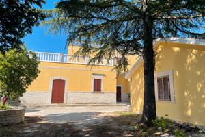 Casale