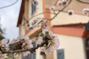 Rarissima villa indipendente
