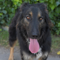 Ferman e la sua possibilita di amare