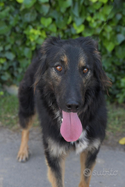 Ferman e la sua possibilita di amare