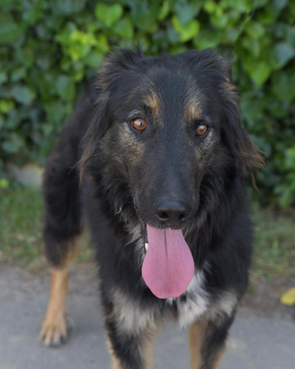 Ferman e la sua possibilita di amare