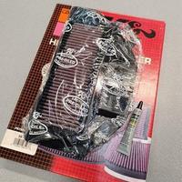 Filtro aria racing K&N per Honda CBR 900