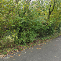 Terreno boschivo in località Ciser TV