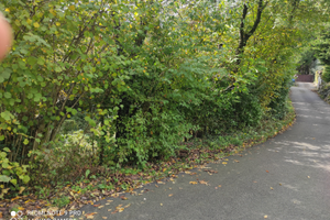 Terreno boschivo in località Ciser TV