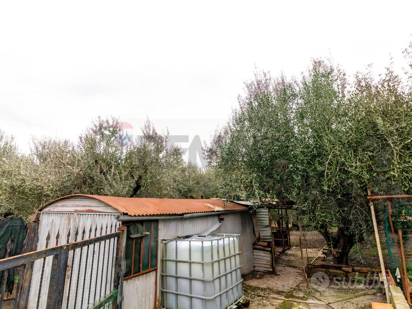 Terreno Edificabile - Roma - Vista 4