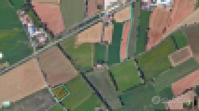 Terreno Agricolo Irriguo di 11.800 mq a Lonato del