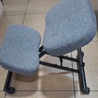 Sedia ergonomica 