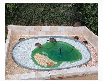 Laghetto per tartarughe piccole di acqua dolce