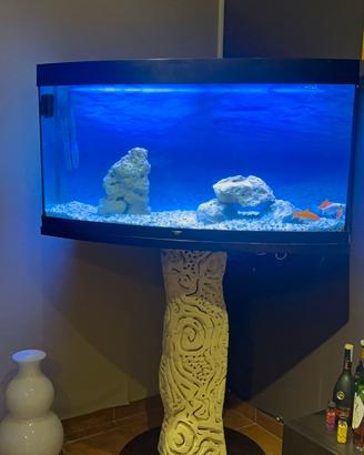 Acquario juwel 160l