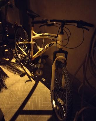bici mtb
