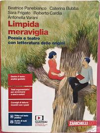 Libro Libera Meraviglia