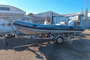 Stingher 488