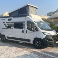 ROLLER TEAM Livingstone 2 Sport